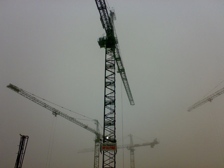 Cranes in the mist 1